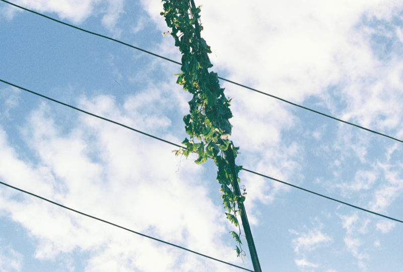 胡同中的日常瞬间 星星 10