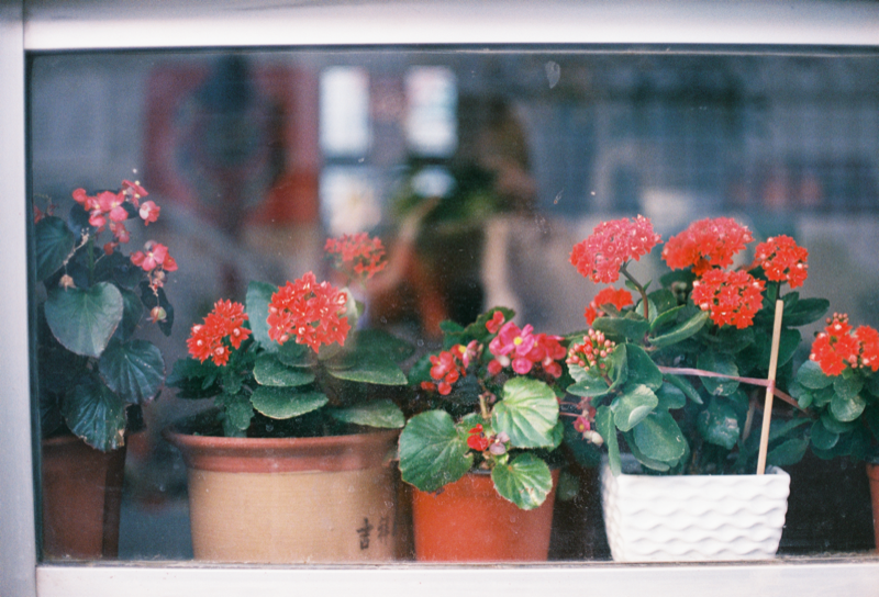 胡同中的日常瞬间 星星 3