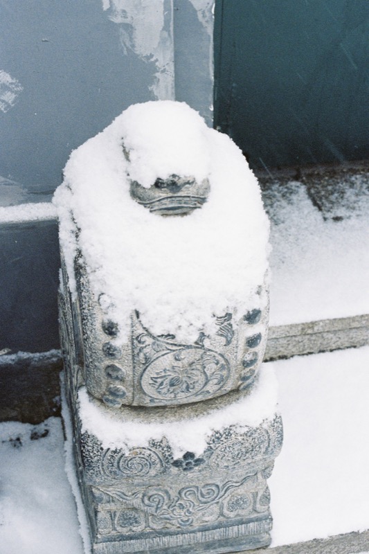 胡同中的日常瞬间 星星 4