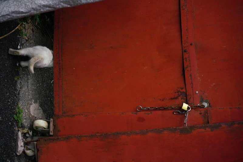 胡同中的日常瞬间 星星 7