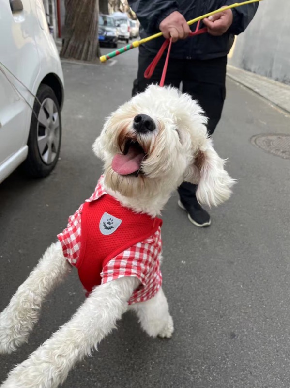 胡同中的日常瞬间 太阳 11