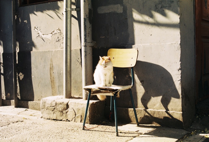 胡同中的日常瞬间 太阳 5