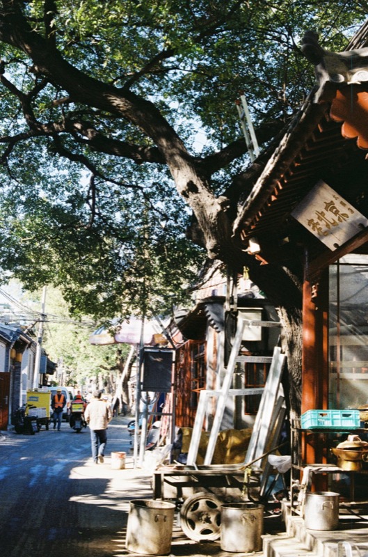 胡同中的日常瞬间 太阳 6